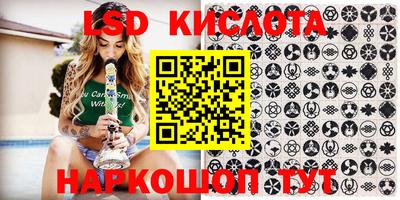 шишки Жуковский