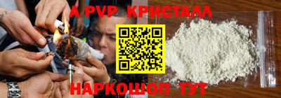 прущие грибы Заводоуковск
