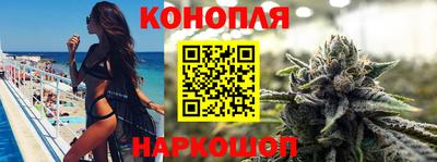 шишки Жуковский