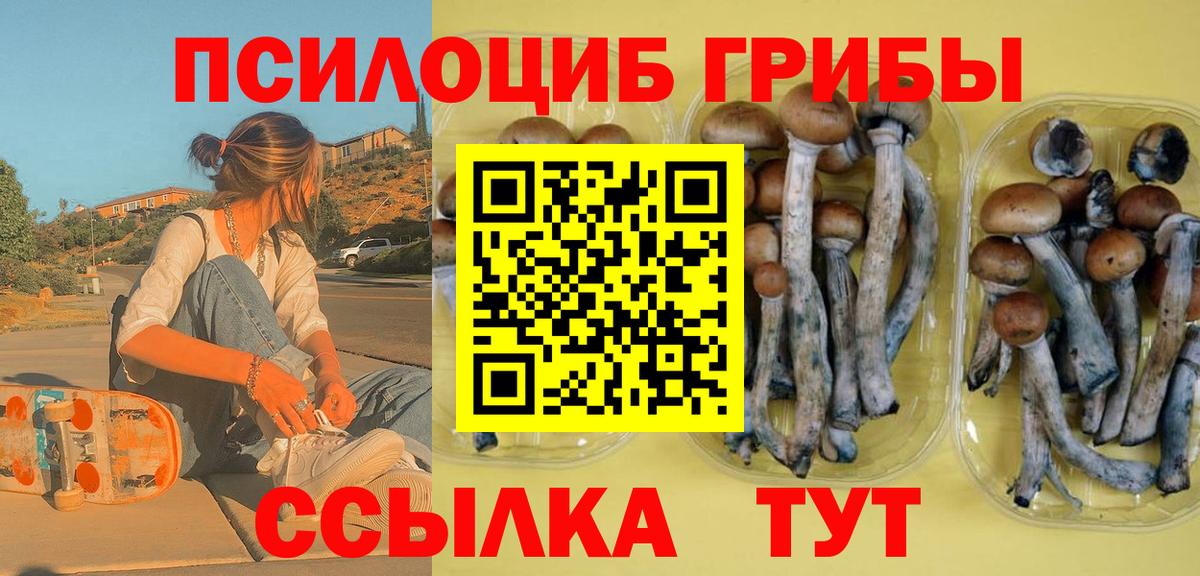 Галлюциногенные грибы мицелий Люберцы